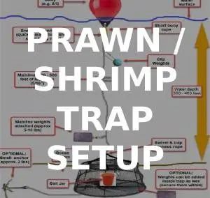 How to Setup a Prawn Trap