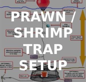 How to Setup a Prawn Trap