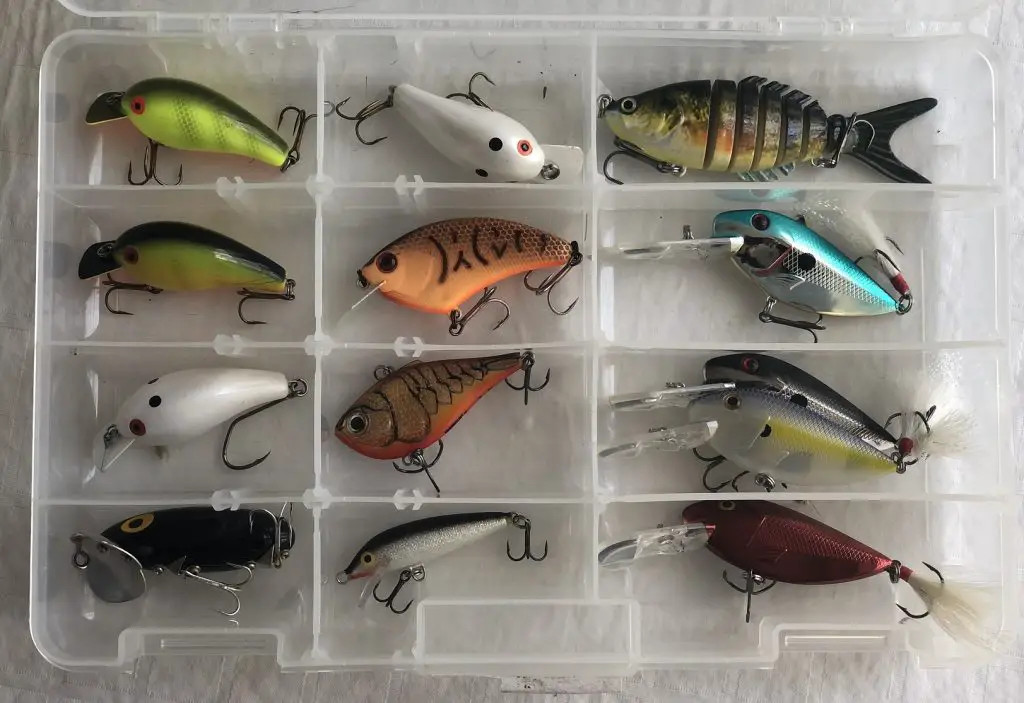 crankbaits in case