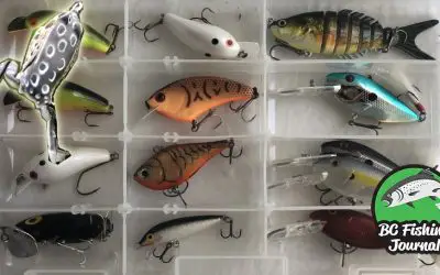 Top 6 Bass Baits