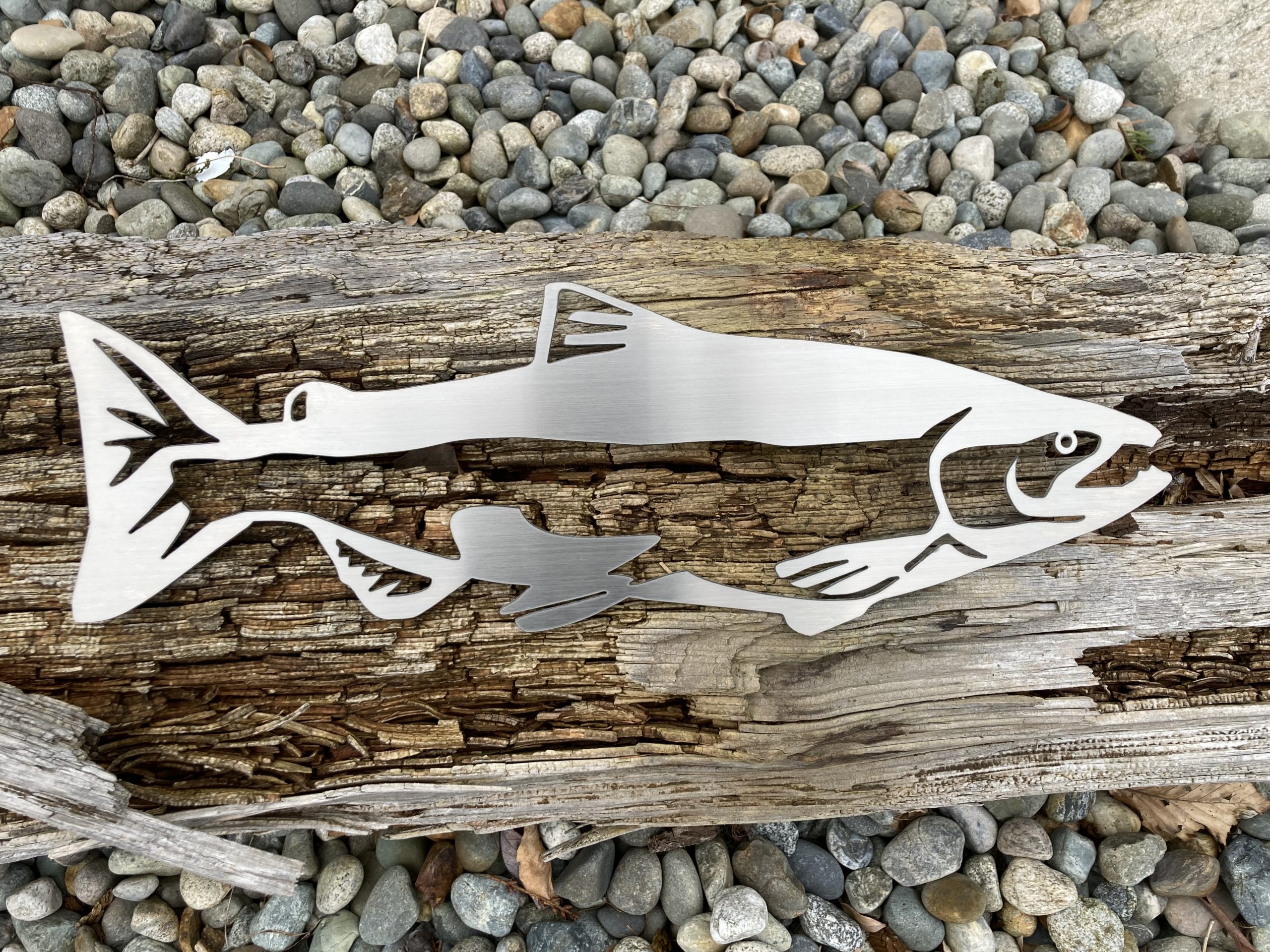 Chinook King Salmon Metal Wall Art - BC Fishing Journal