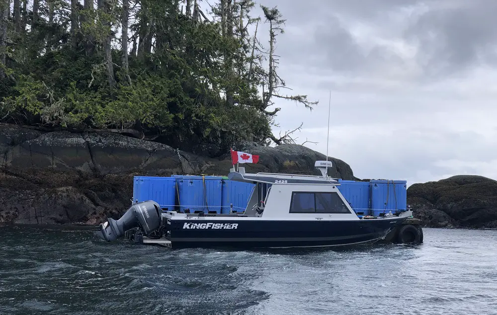 kingfisher tied off salmon farm doc
