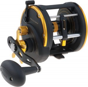 Penn II Squall Reel