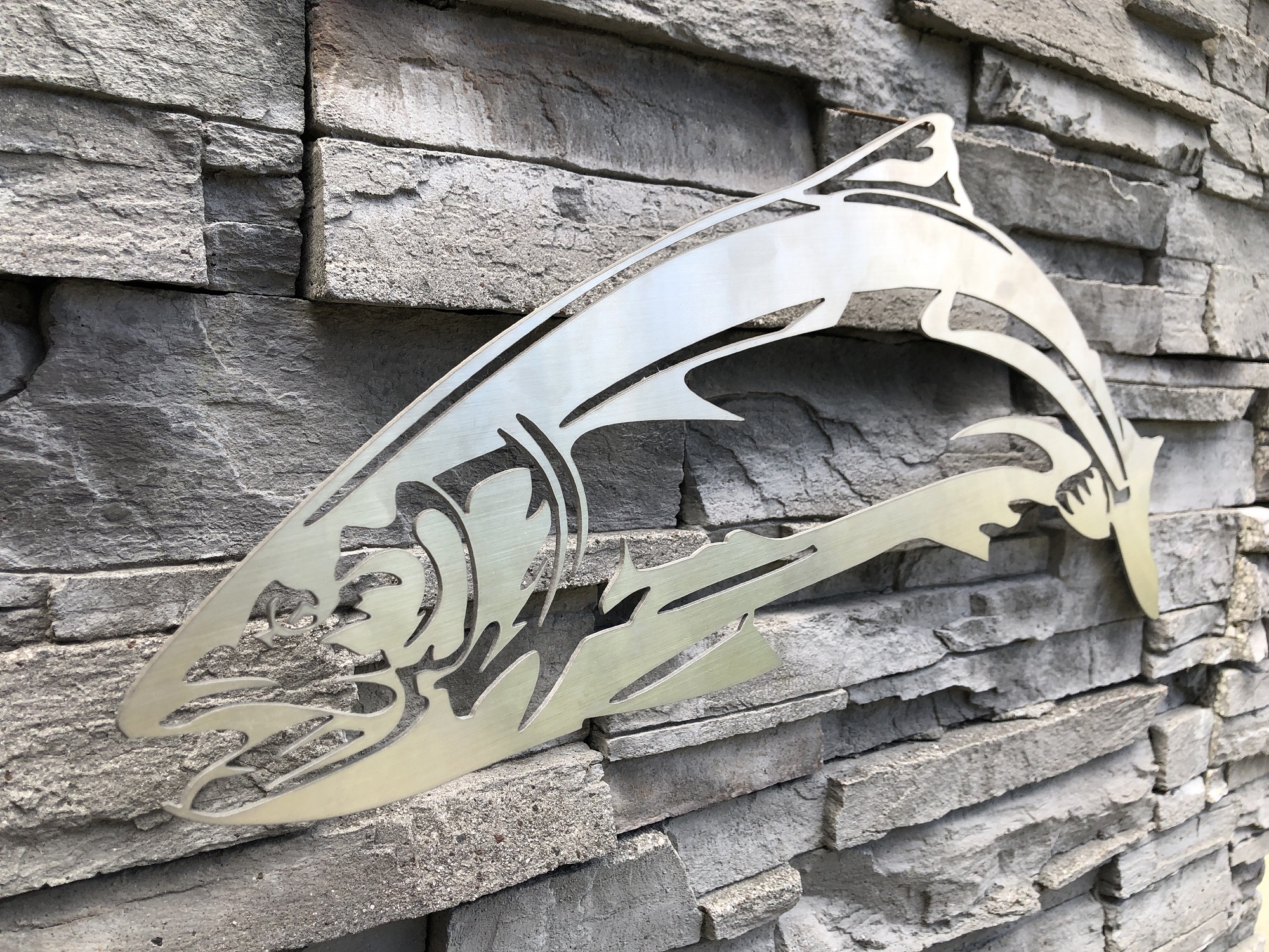 Rainbow Trout and Steelhead Fish Metal Wall Art - BC Fishing Journal