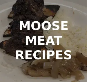 My Favorite Moose Meat Recipes