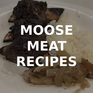 Moose steak marinade top