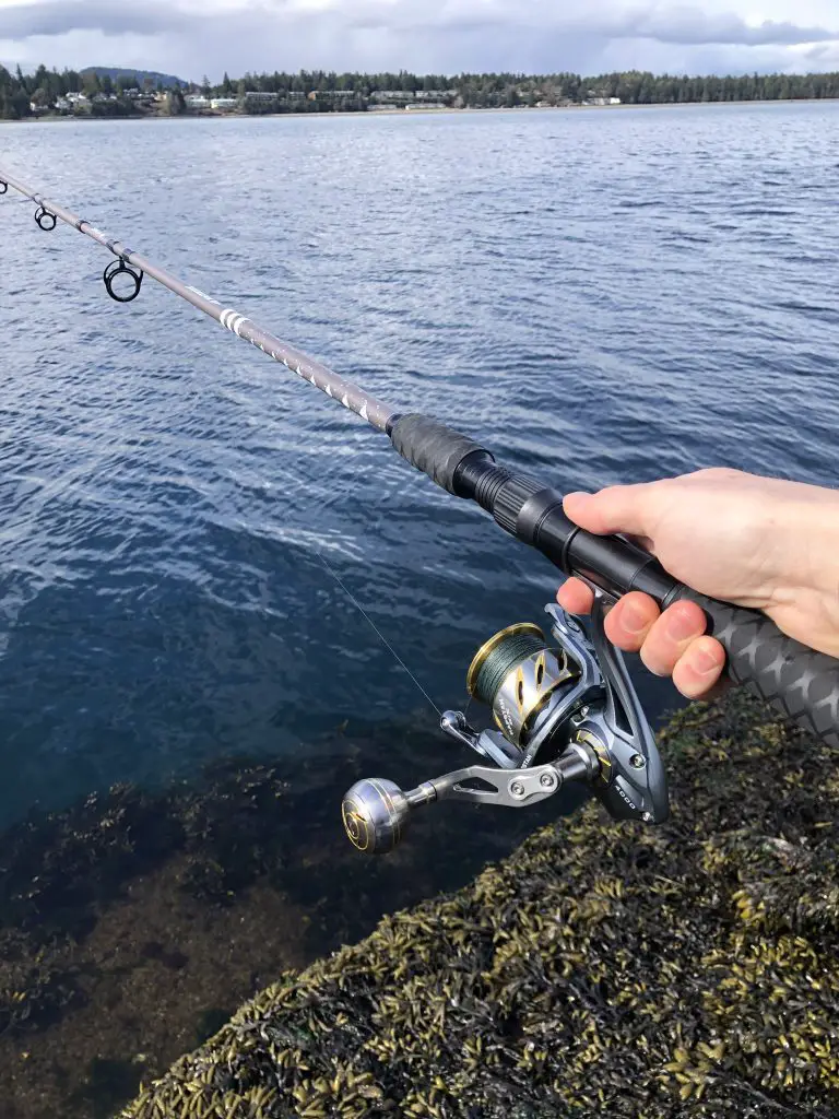 The Best Spinning Reel for Ultralight Fishing – KastKing