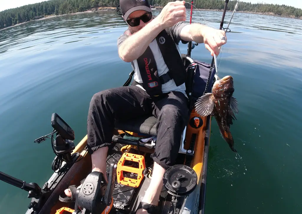 Vertical Jigging for Salmon in Kayak - BC Fishing Journal