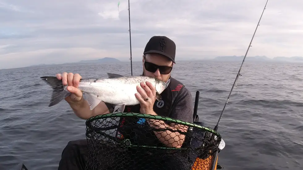 Coho (Silver) Salmon - BC Fishing Journal