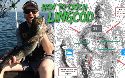 How to catch Lingcod via habitat and gear