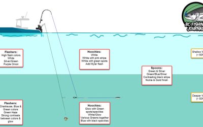 Trolling Salmon Spoons, Hoochies, Colors and Leader Lengths