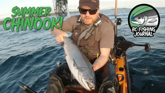 Summer Chinook Salmon Trolling