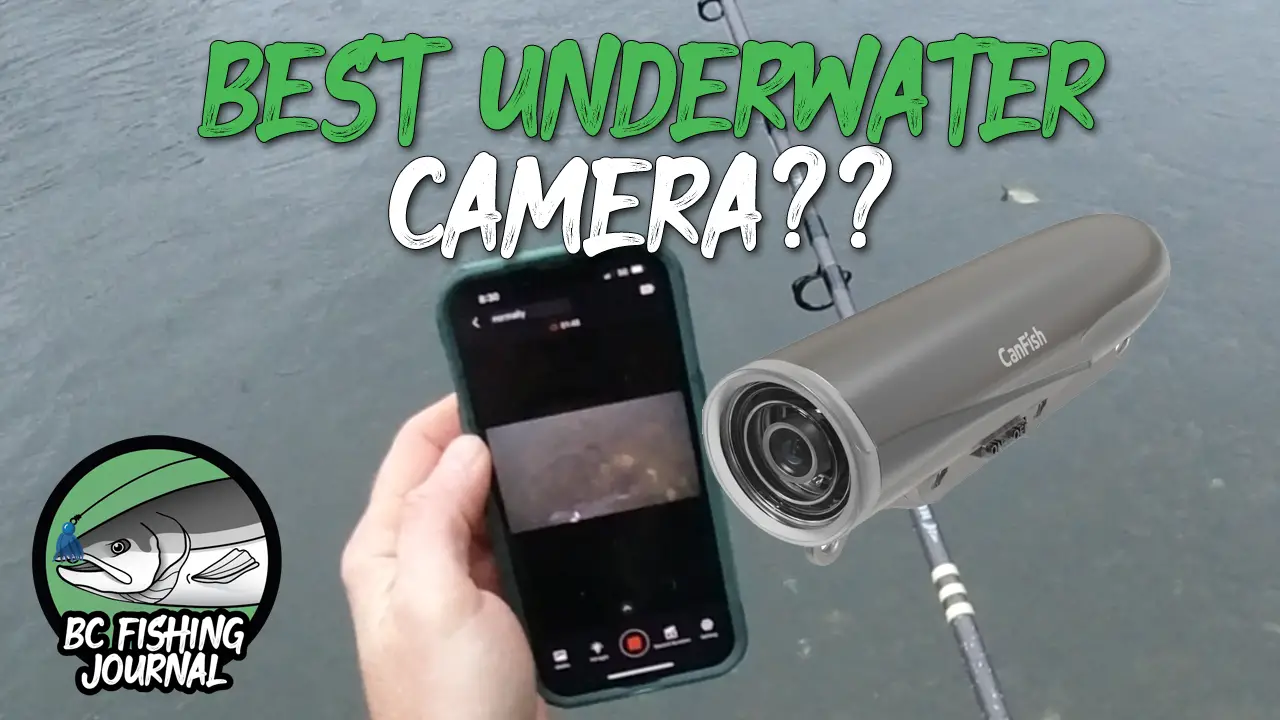 Featured image of CanFish CamX review