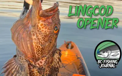 Fishing for Lingcod and Rockfish for Season Opener