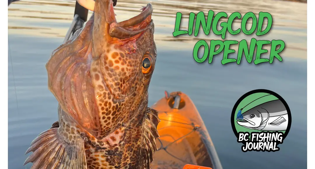 Lingcod season opener featured
