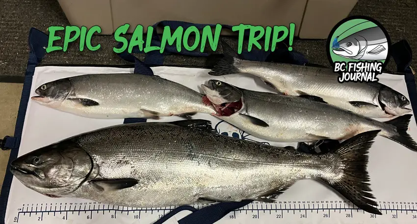 epic salmon trip featured