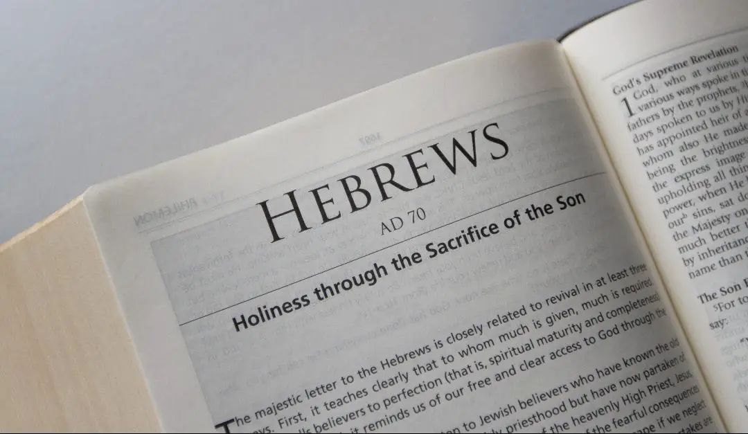 Jesus the Son of God