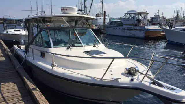 Absolute-Sportfishing-2
