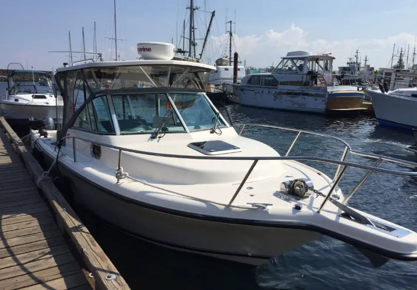 Absolute-Sportfishing-2