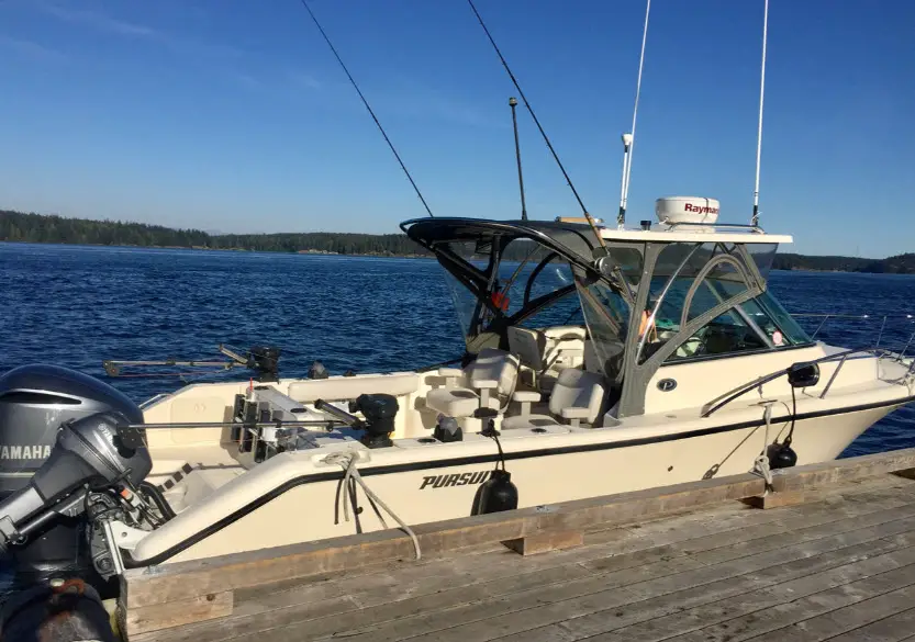 Absolute-Sportfishing-3
