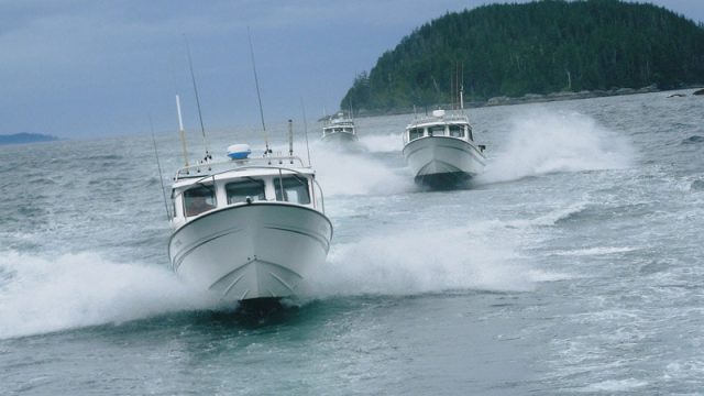 codfathers-4
