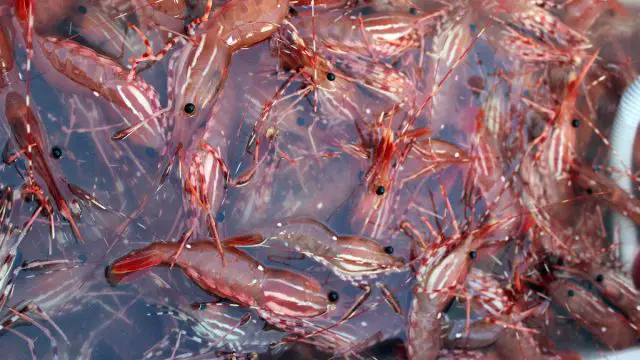 reel-time-6