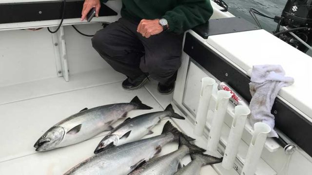 westcoast-river-charters-4