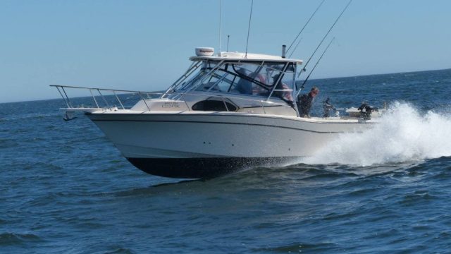 wildpacific-charters-4