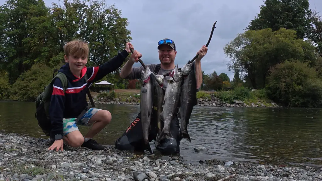 Somass River Chinook Salmon Somass River Chinook Salmon